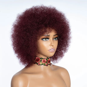 Rebecca Afro Kinky Curly Human Hair Wigs