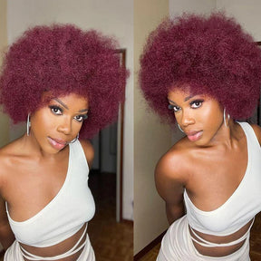 Rebecca Afro Kinky Curly Human Hair Wigs