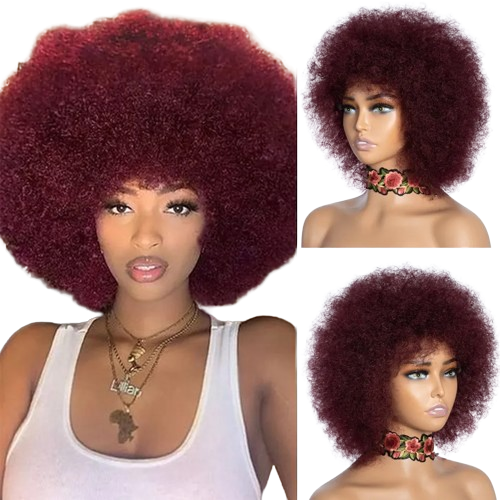 Rebecca Afro Kinky Curly Human Hair Wigs