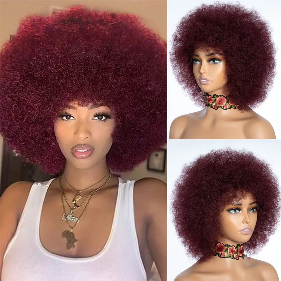 Rebecca Afro Kinky Curly Human Hair Wigs