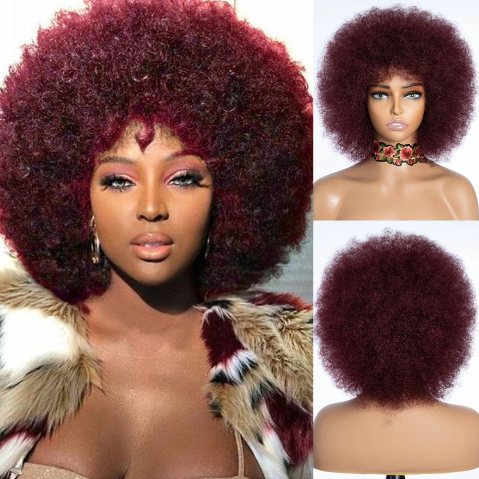 Rebecca Afro Kinky Curly Human Hair Wigs