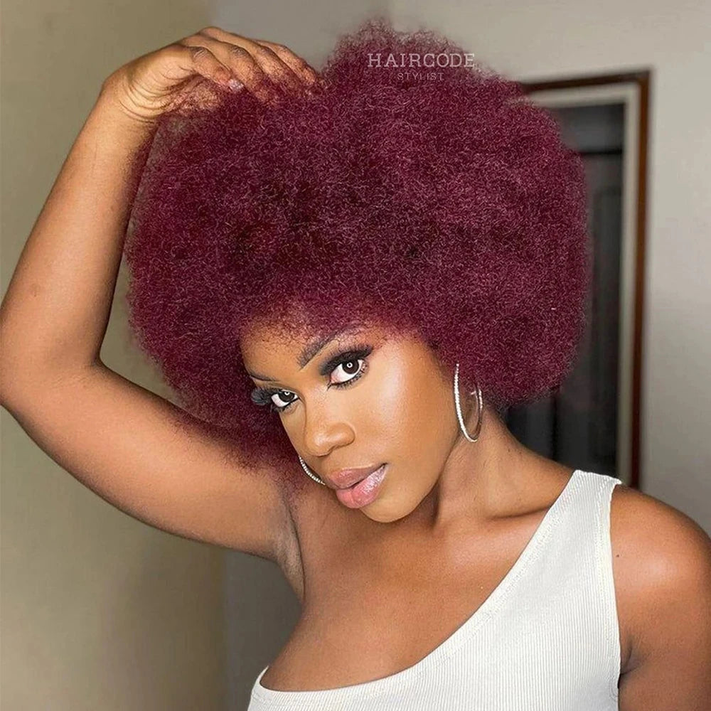 Rebecca Afro Kinky Curly Human Hair Wigs